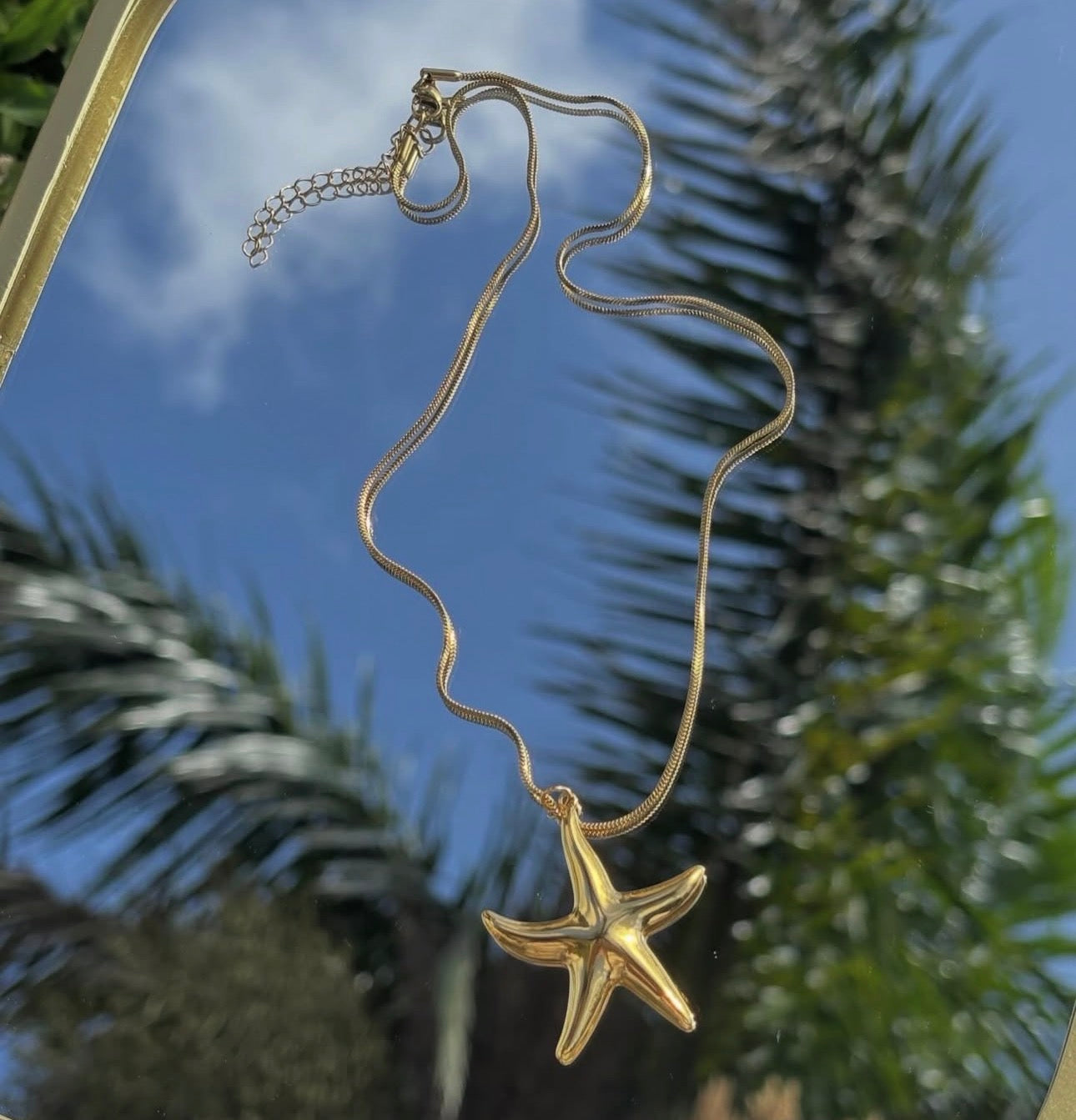 Estrella Marina Chain