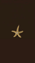 Estrella con diamante Charm