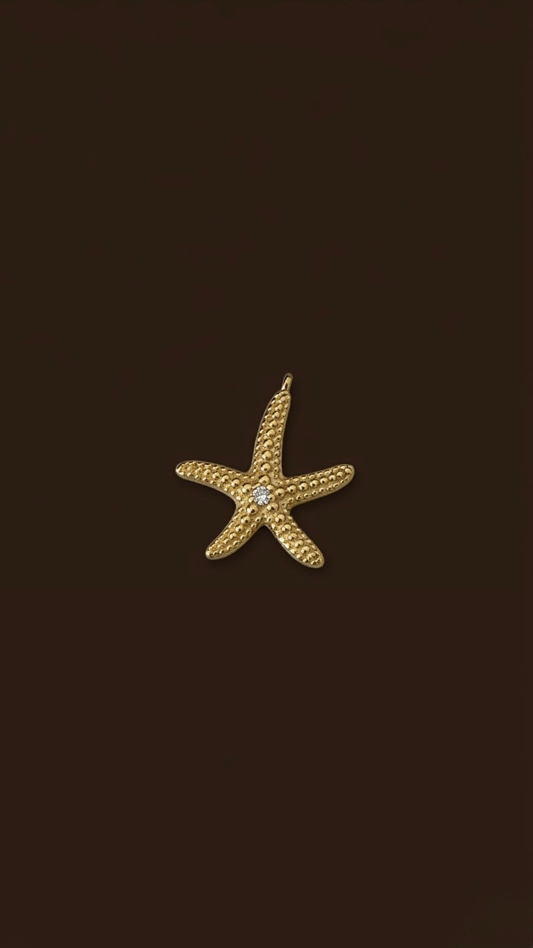 Estrella con diamante Charm