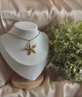 Estrella de mar chain