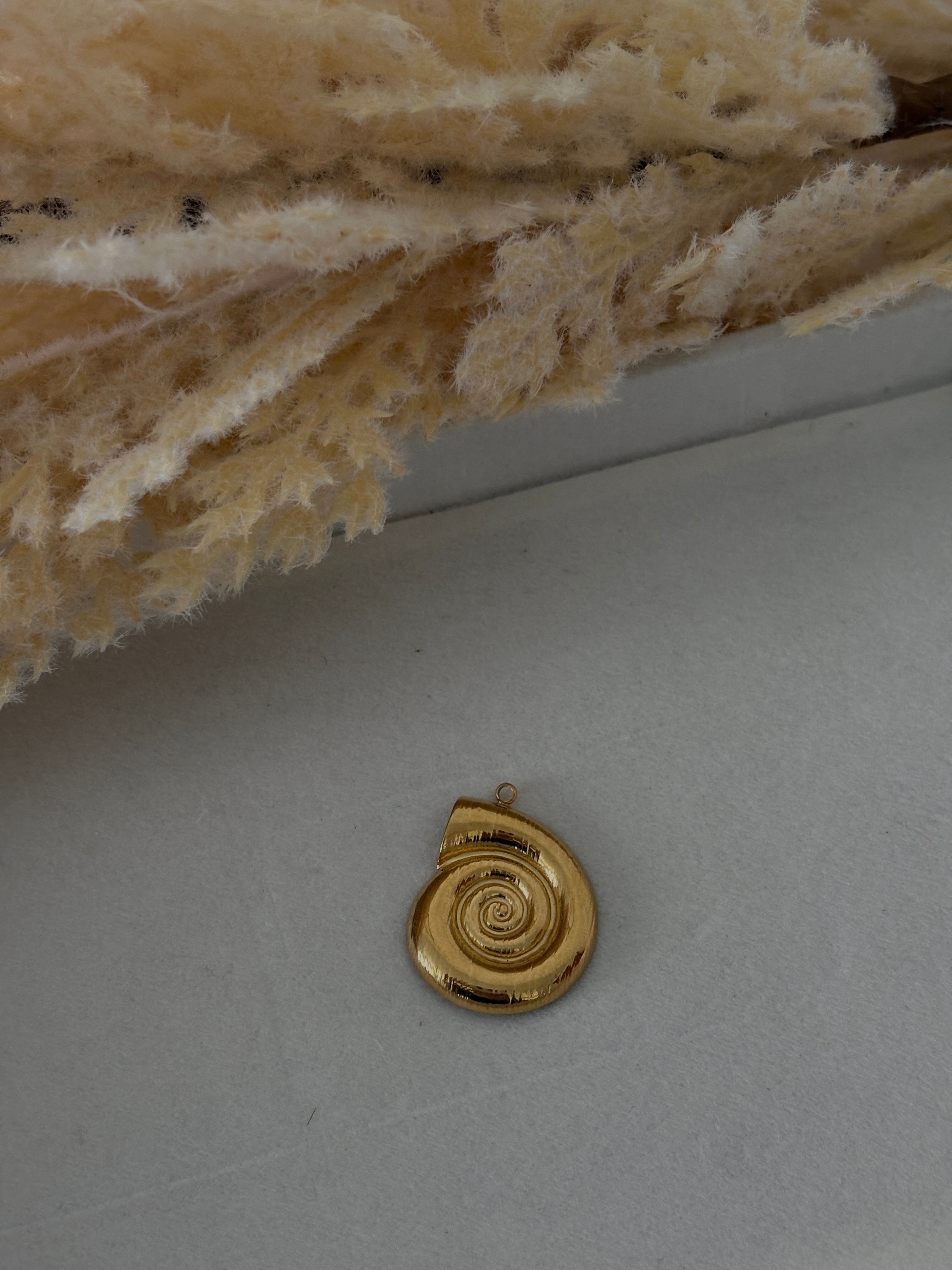 Caracol grande sin relleno Charm