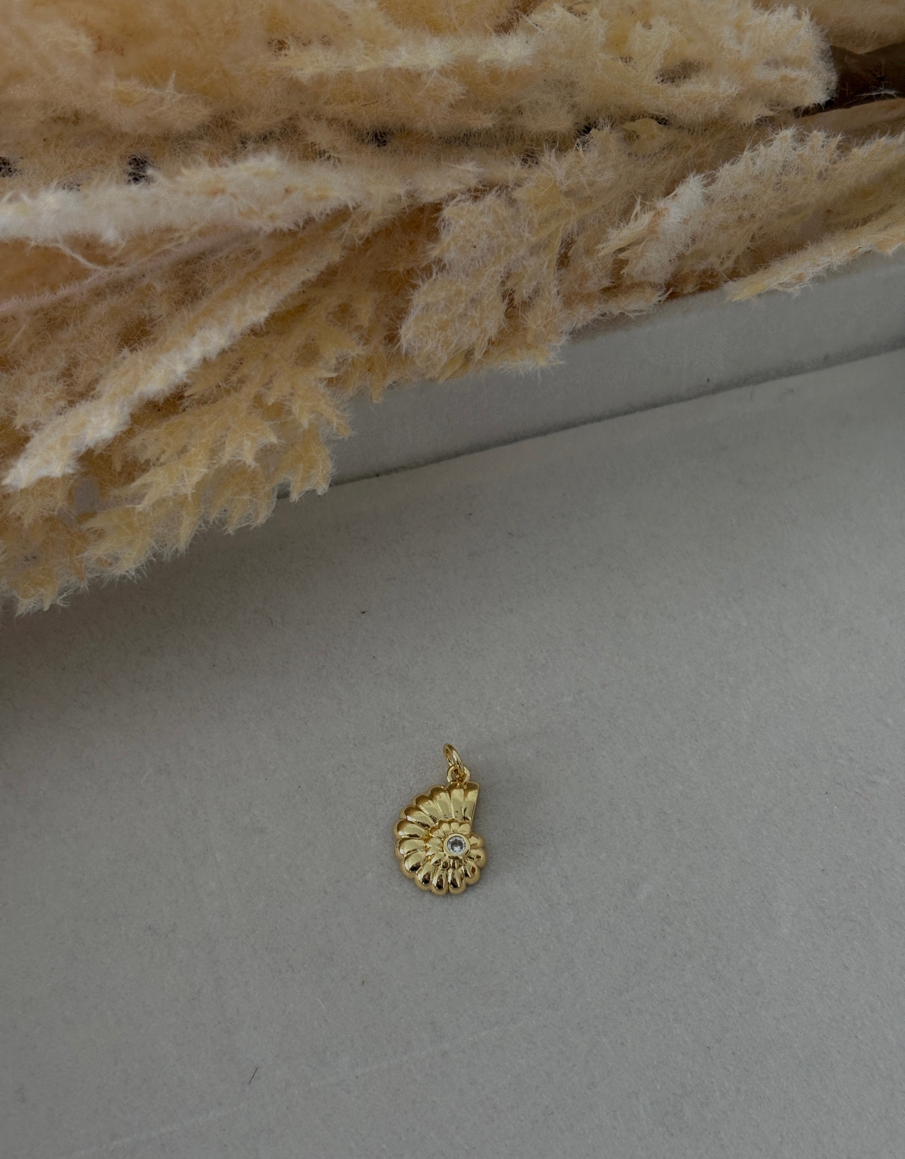 Caracol con diamante Charm