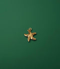 Estrella de mar Charm