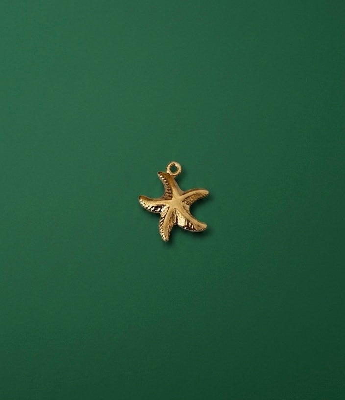 Estrella de mar Charm