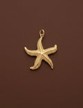 Estrella de Mar Charm