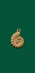 Caracol  Charm