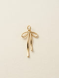 Charm de lazo