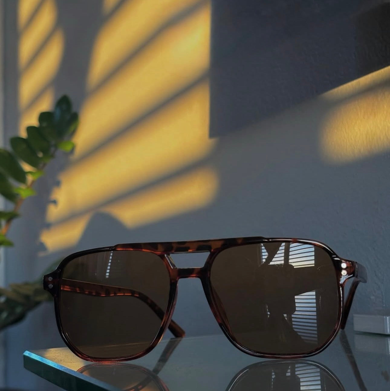 Animal Print Sunglasses