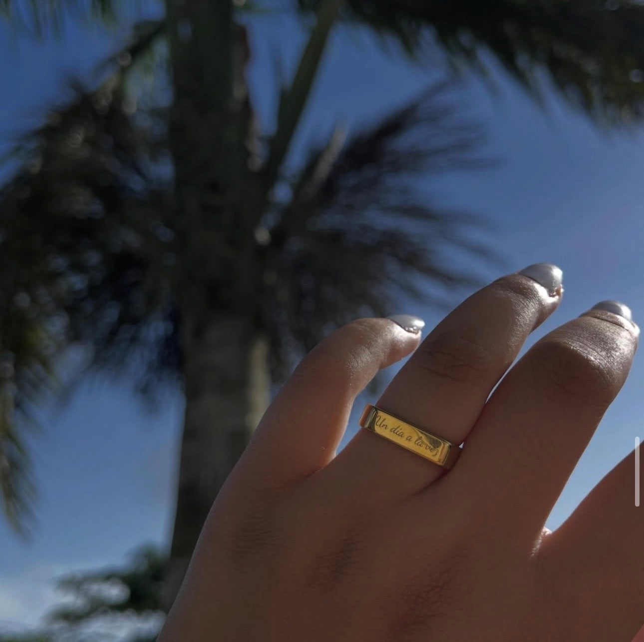 Un día a la vez ring