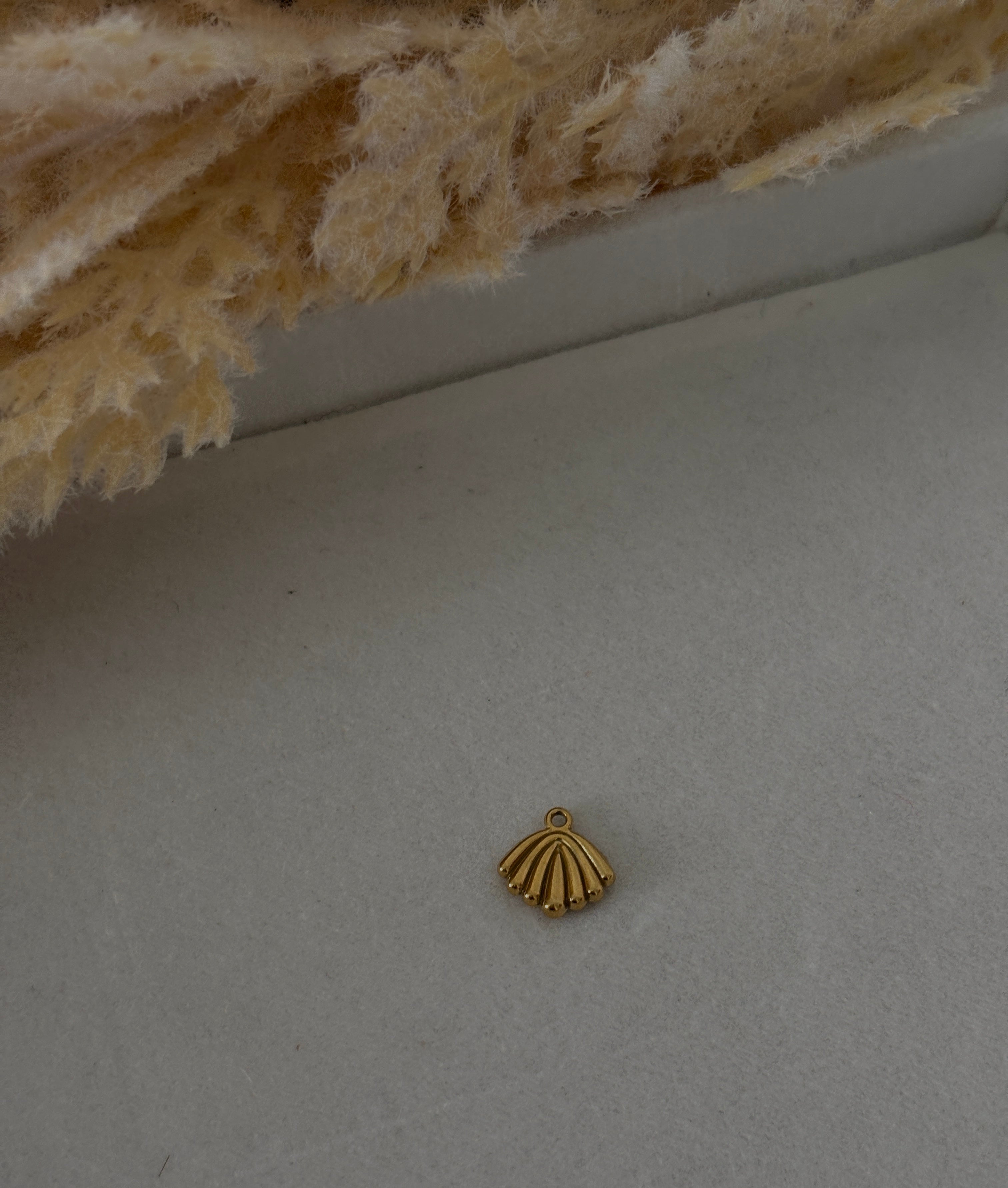 Caracol plano pequeño Charm