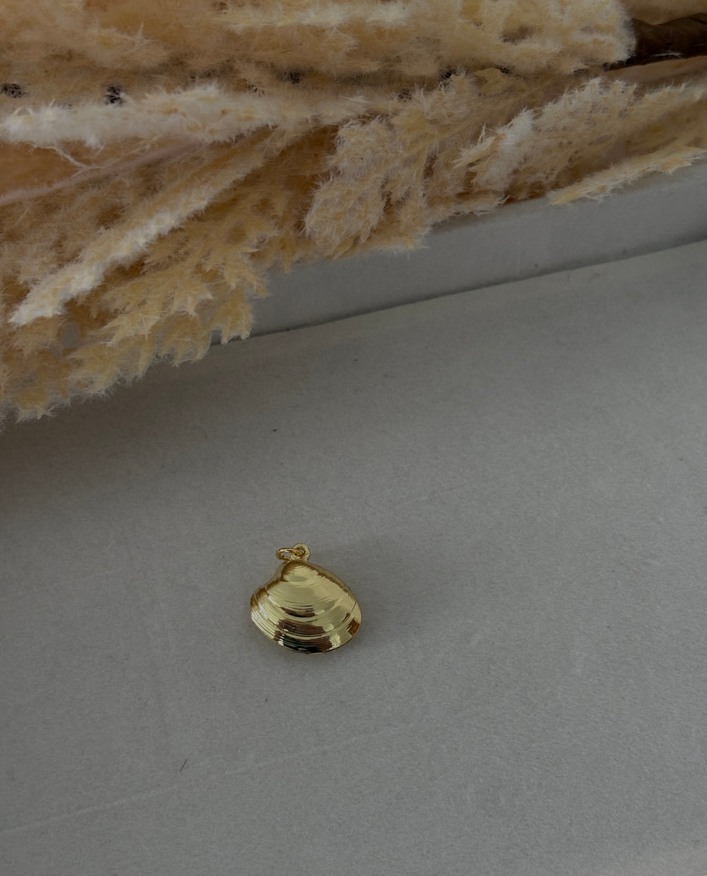 Caracol con relleno grande