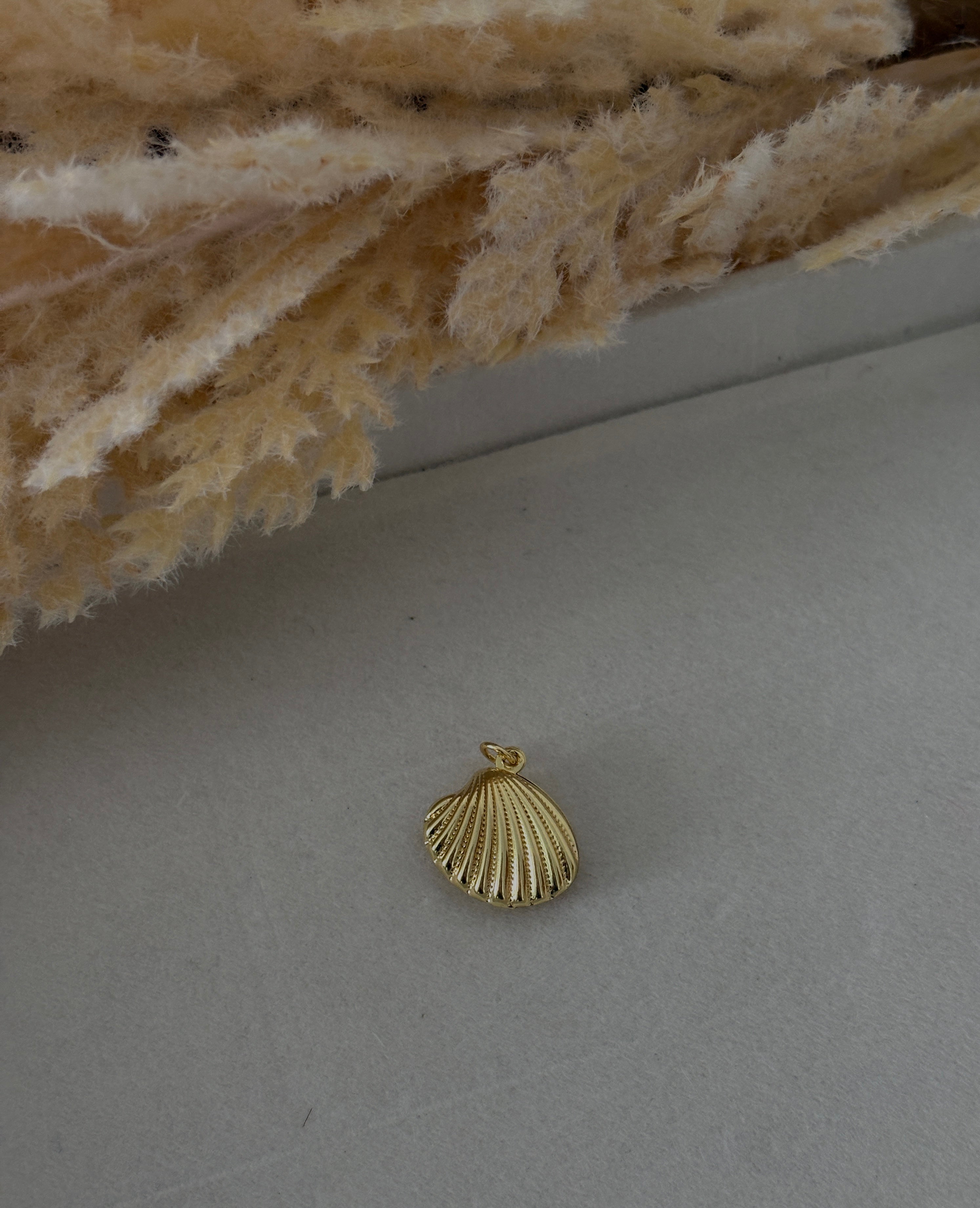 Caracol con relleno grande