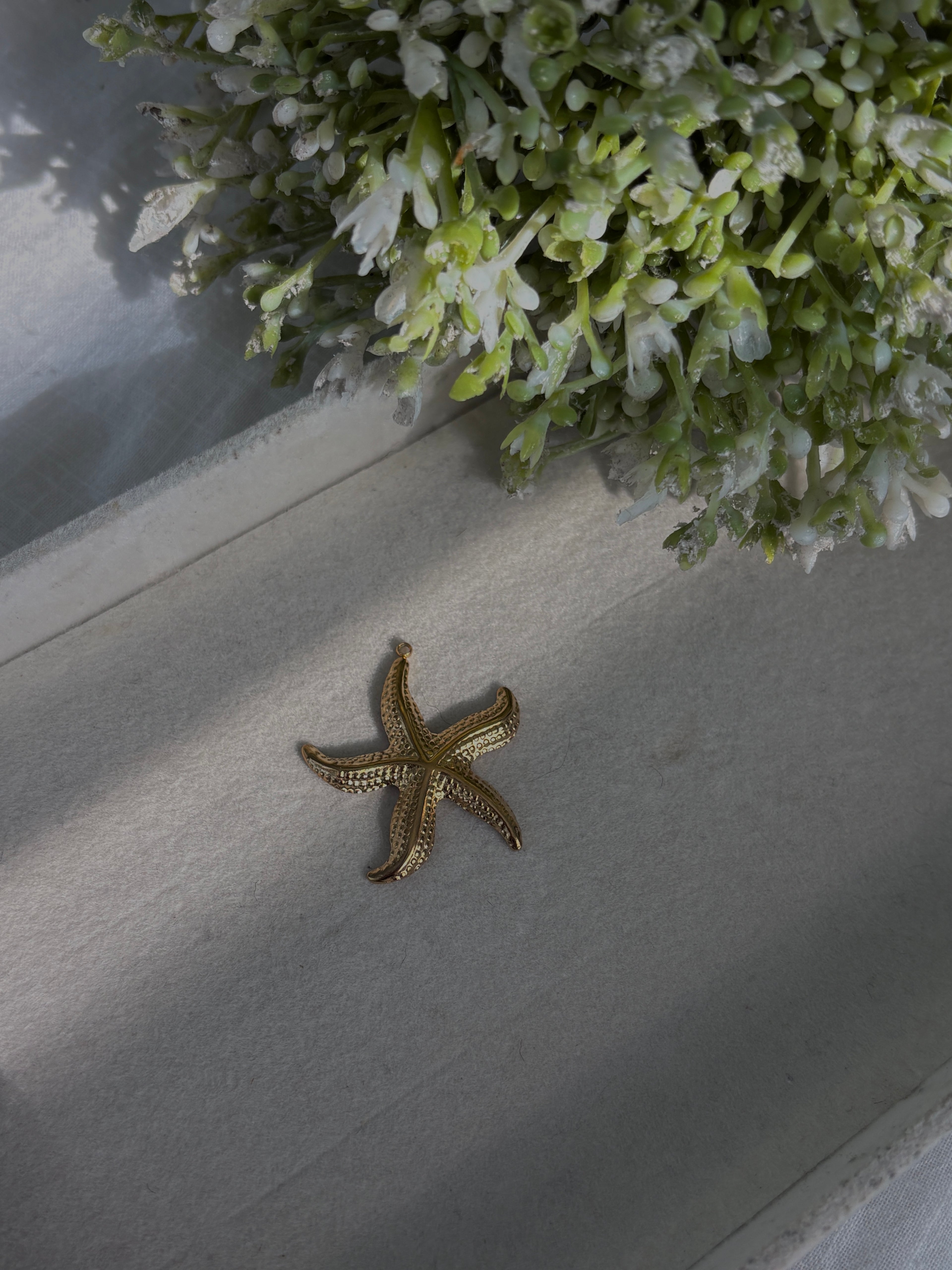 Estrella de Mar Charm