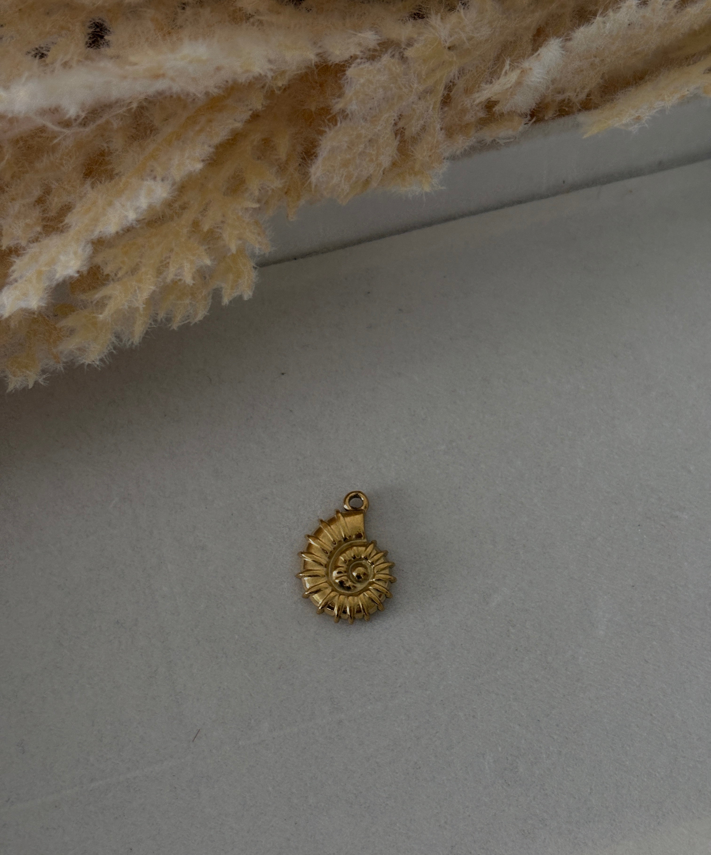 Caracol con grosor mediano Charm