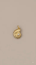 Caracol con diamante Charm