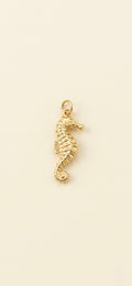 Caballo de mar Charm