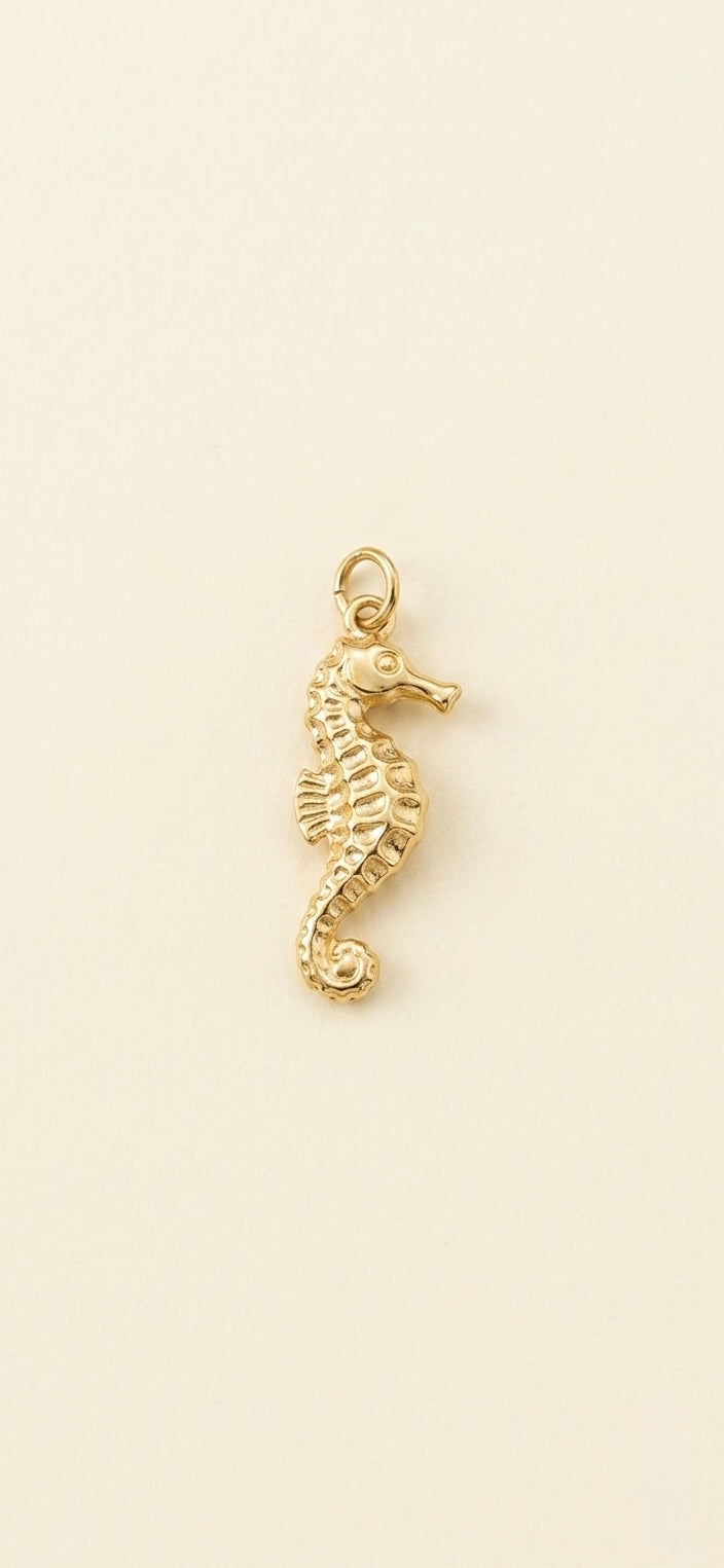 Caballo de mar Charm